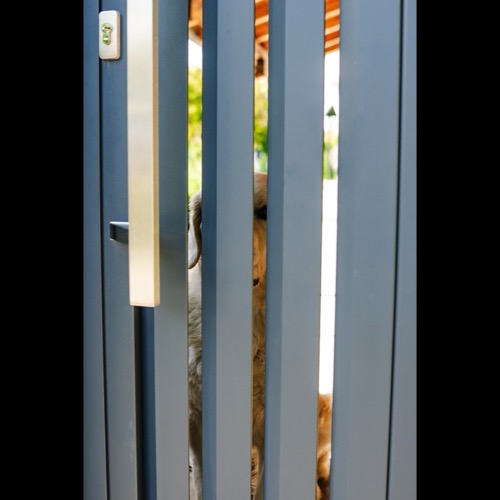Aluminium fence - RAL 7016